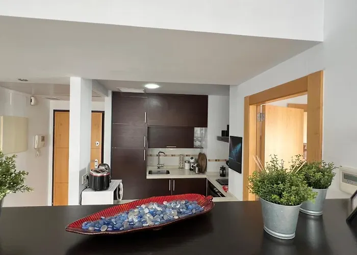Apartment Rent4 Pacifico